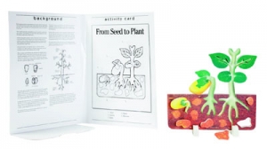 Book Plus Foam Model Seed To Plant